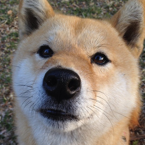 _网球运动新规则引发热议:公平与创新的平衡_,2021年最新网球规则分享网站