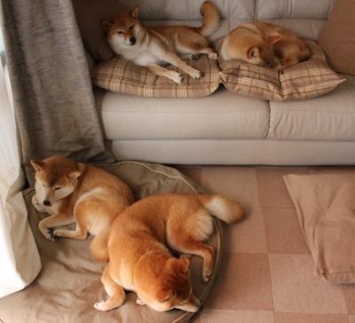 “中超联赛引入先进的比赛监控系统,保障比赛安全”,中超联赛官方数据统计