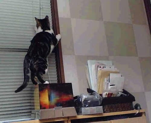 kaiyun官方入口登录-_骑士年轻核心状态火热，未来可期_，骑士lx