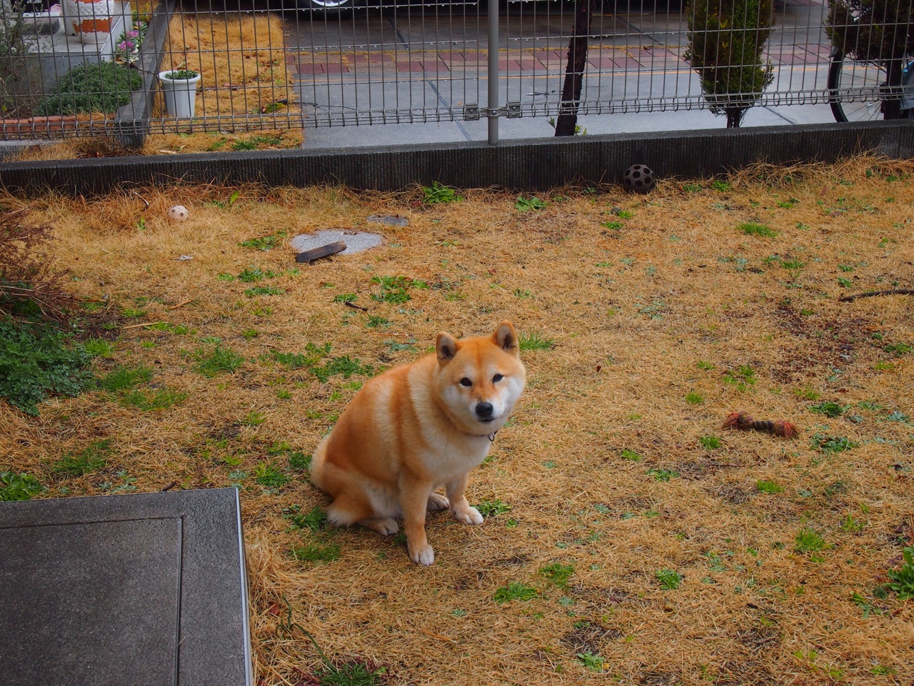 kaiyun开云·官方网站-“中超联赛观众席座无虚席，足球魅力不断扩大”，中超观众人数限制