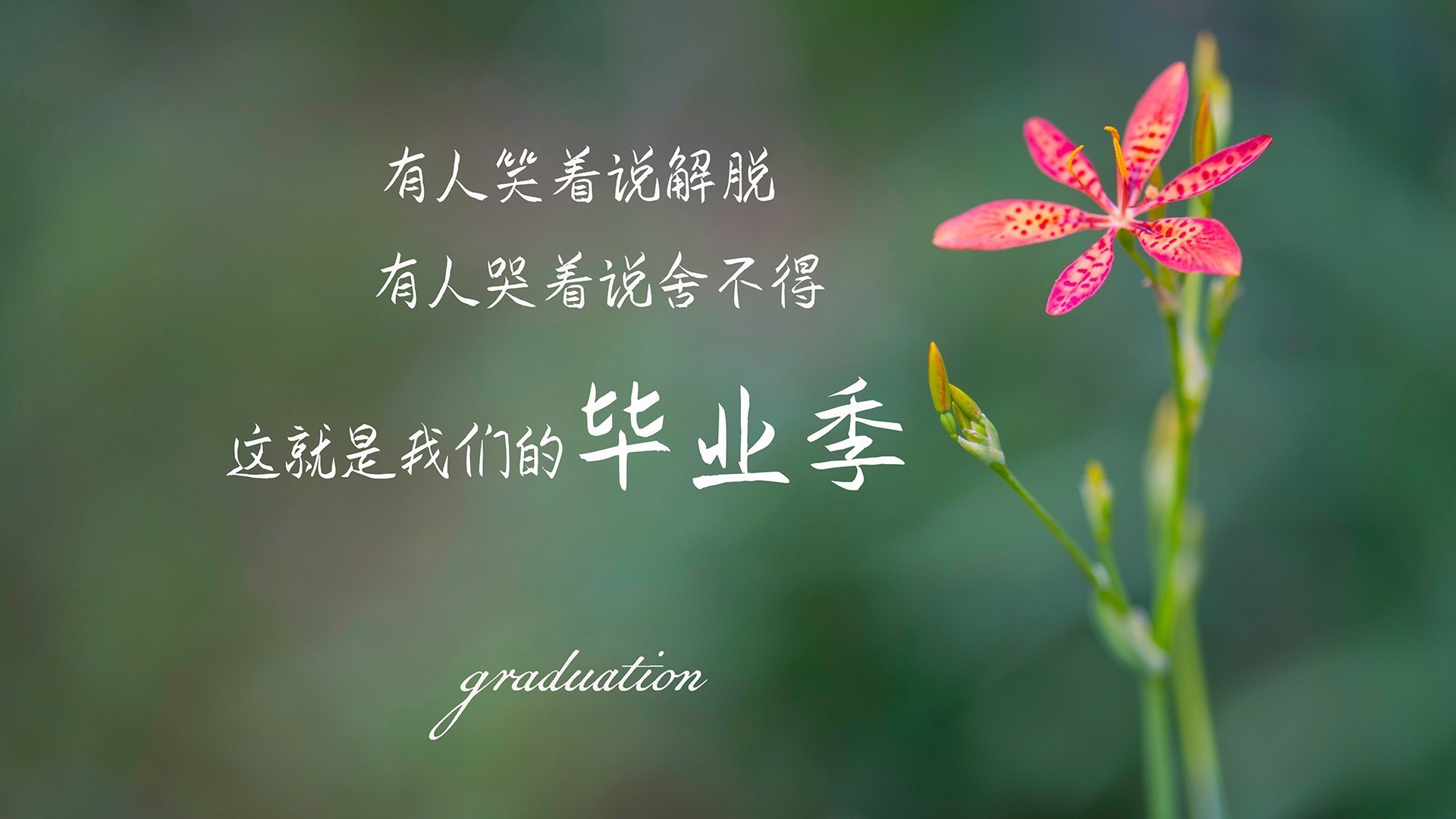 _魔幻夜光跑步赛:光影交织,燃爆夜晚_,夜光跑道