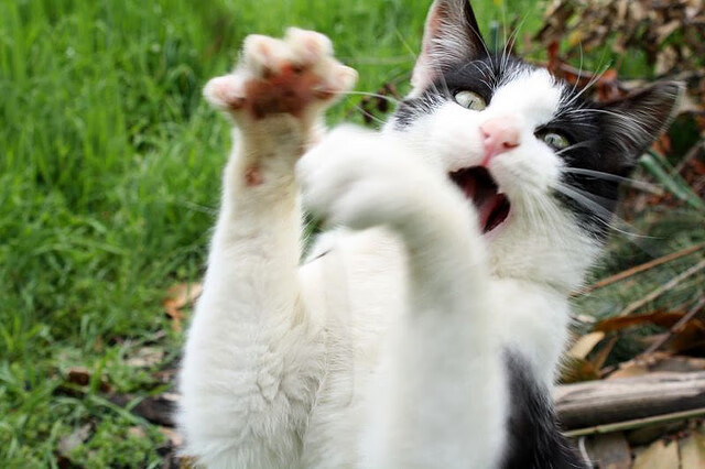 爱游戏官方网站-“农村足球振兴计划全面启动，普及基层足球运动”，乡村足球俱乐部