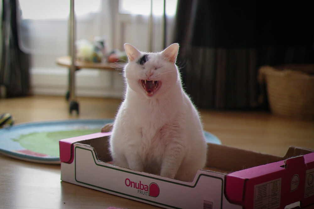 爱游戏电竞官网-“西甲强者对决：两队鏖战至最后一秒”，西甲榜首大战