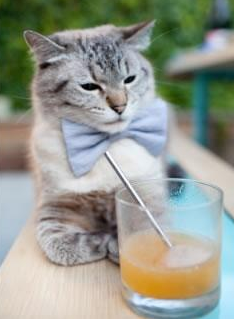 《Valorant战术天王战,逆转惊喜不断》