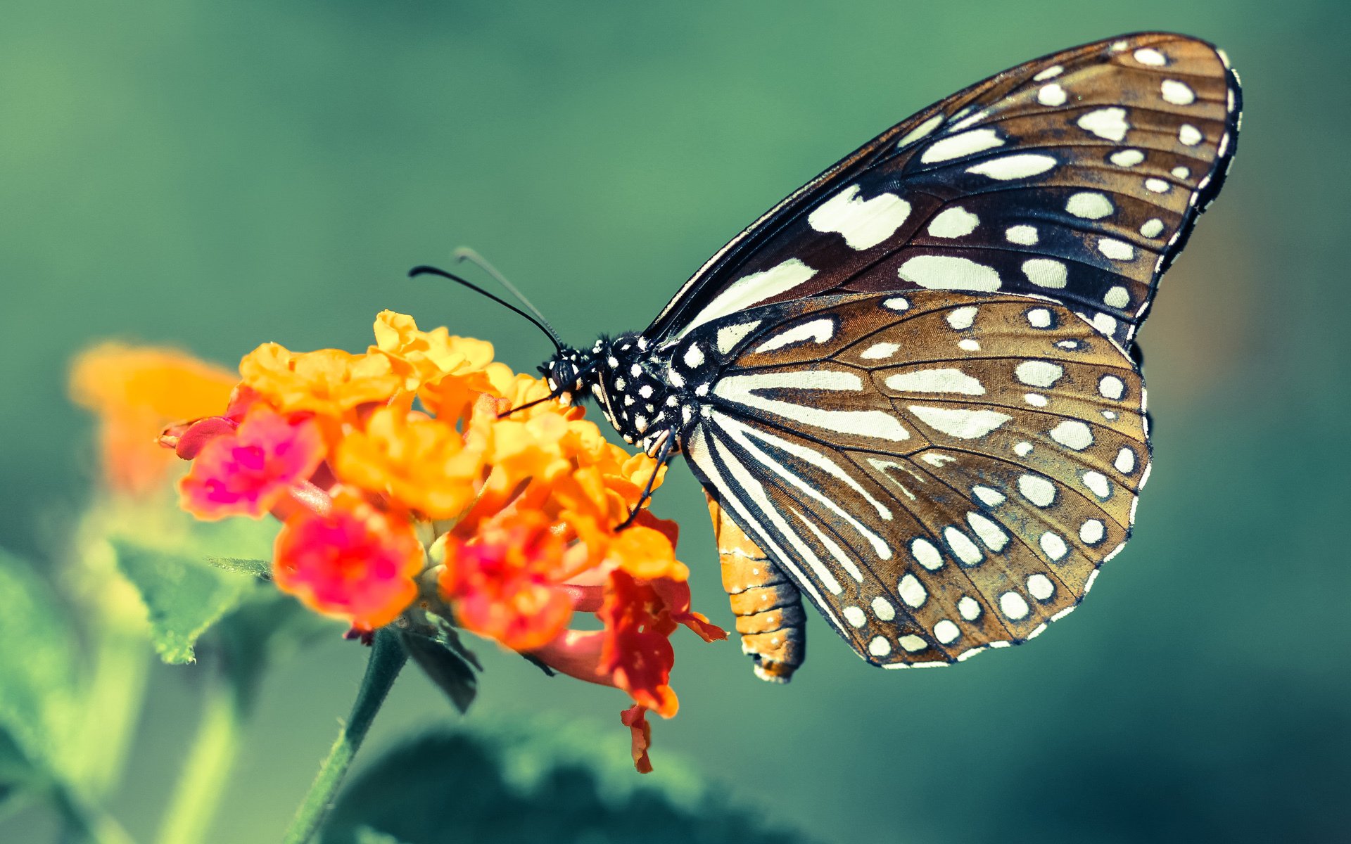 AYX GAME-【最难忘时刻】本赛季五大逆转胜利盘点，季后赛逆转