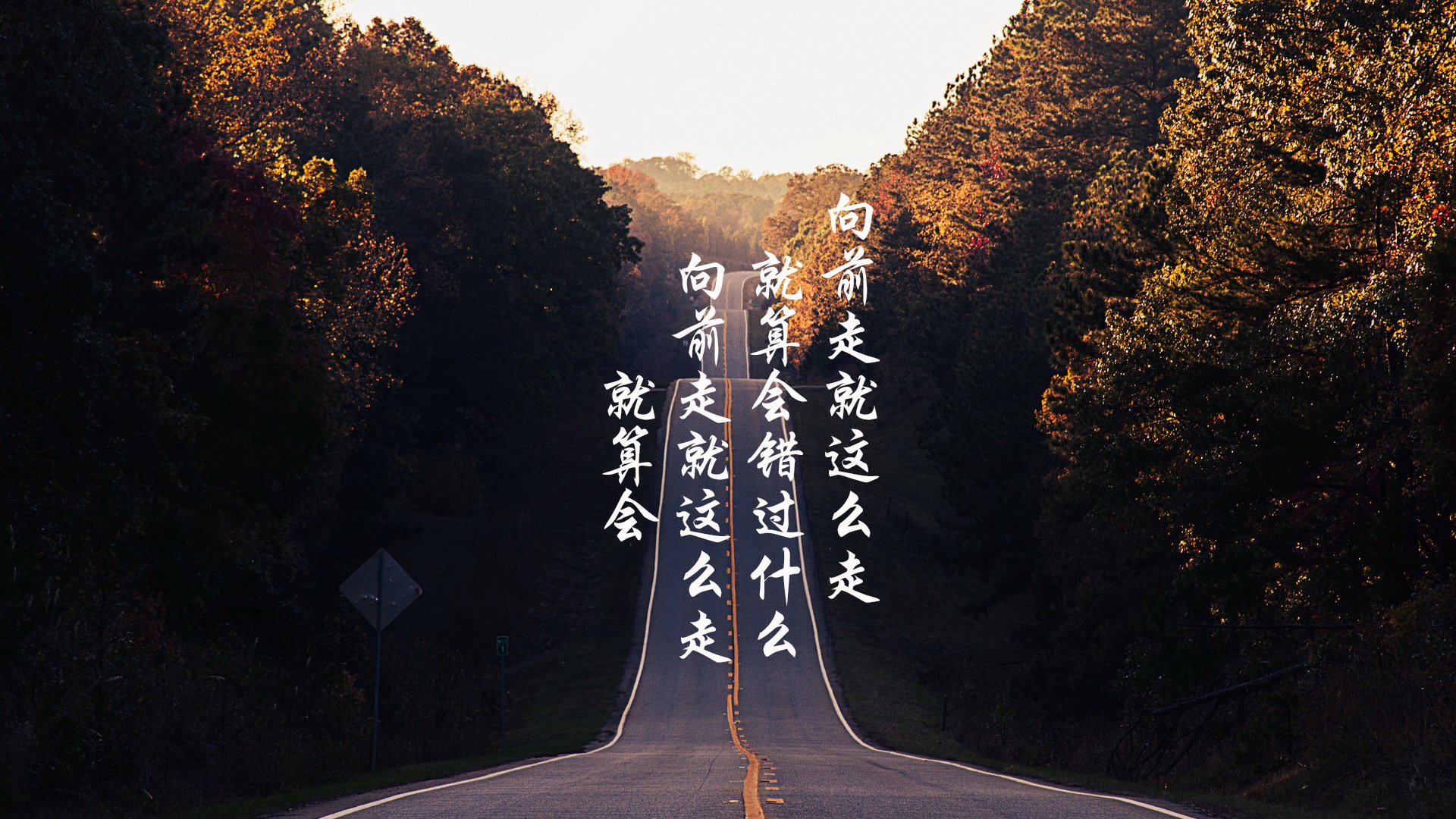 备战背后的秘密：教练组的秘密技术档案，教练组成员