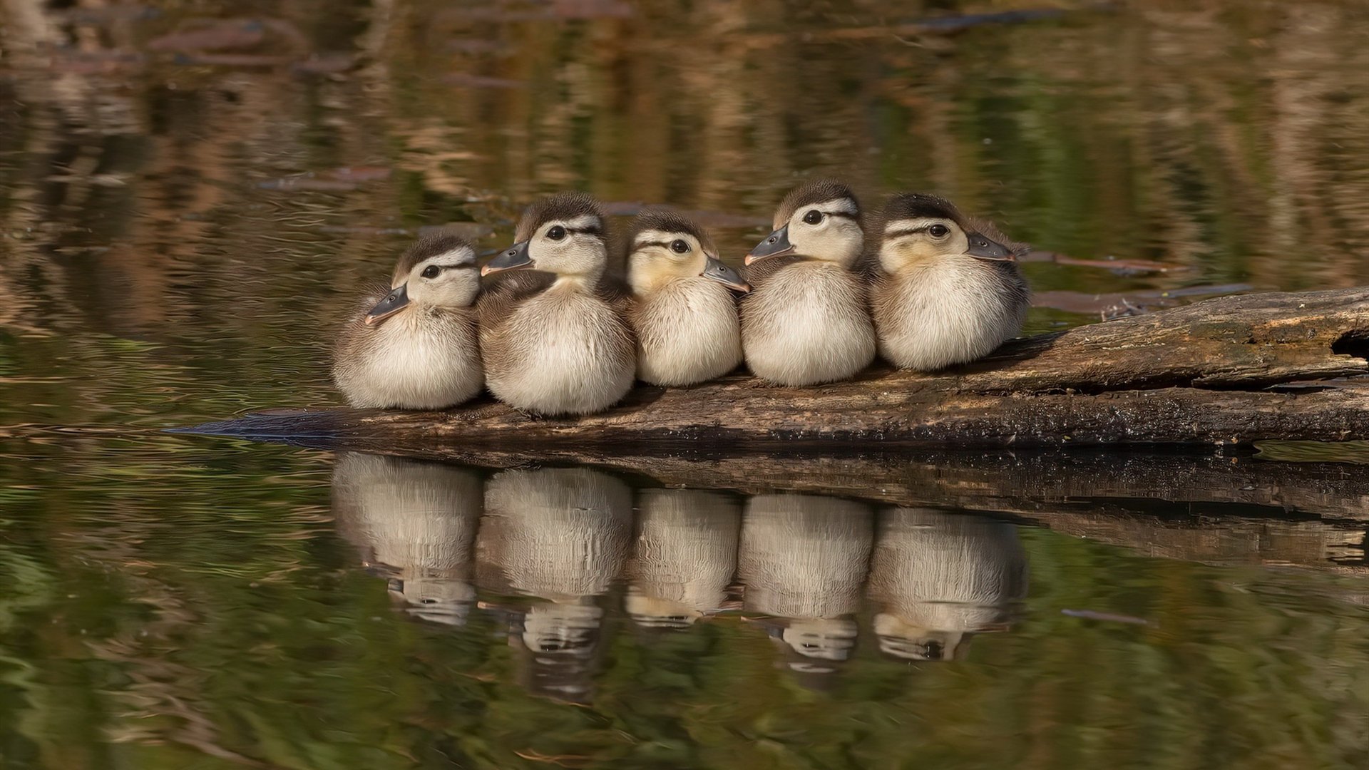摩洛哥队在巴黎奥运会男足比赛中多次通过中路渗透得分，摩洛哥男足大名单