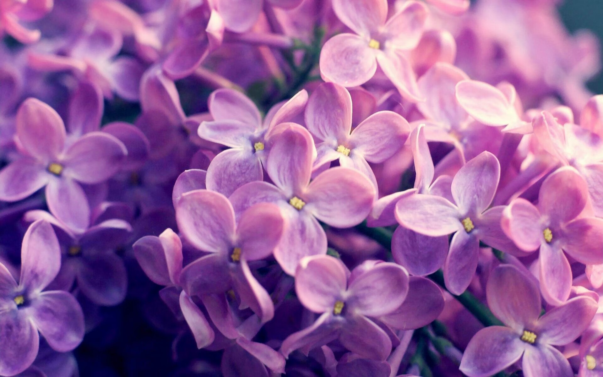 特殊水下蹦床大赛,水中跳跃的精彩瞬间,水上蹦床视频