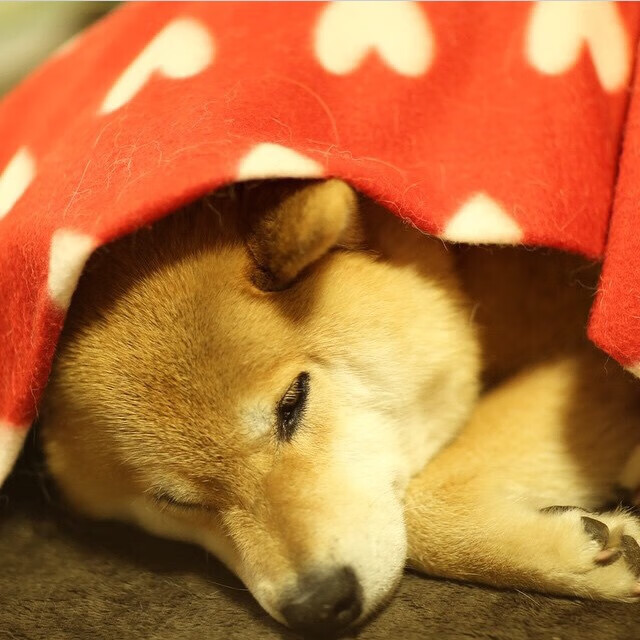 爱游戏官方网站-裁判判罚争议：制度改革带来的新挑战，裁判思路与裁判规则