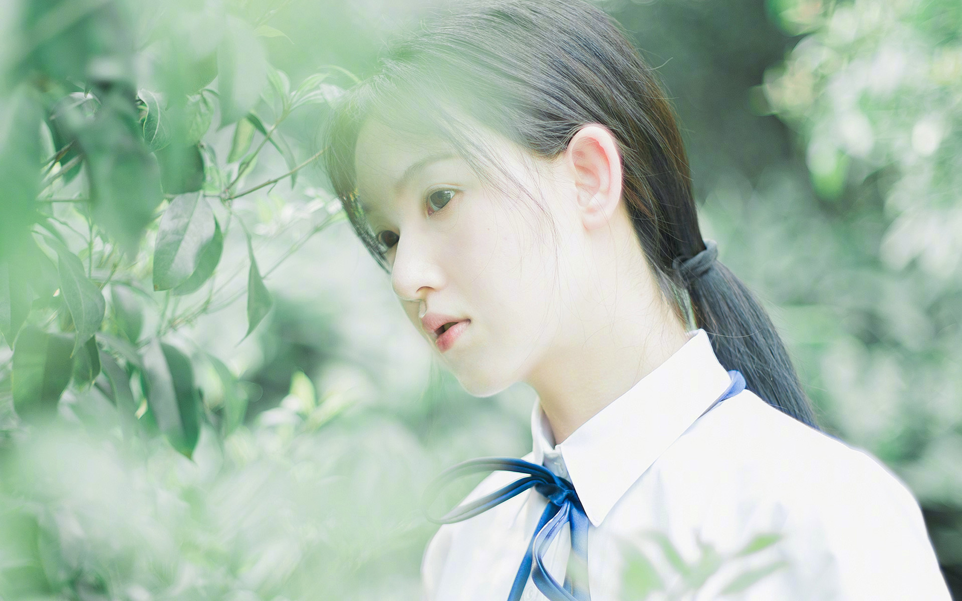 观赛攻略:最佳观景点和赛场全景指南,观赛入口