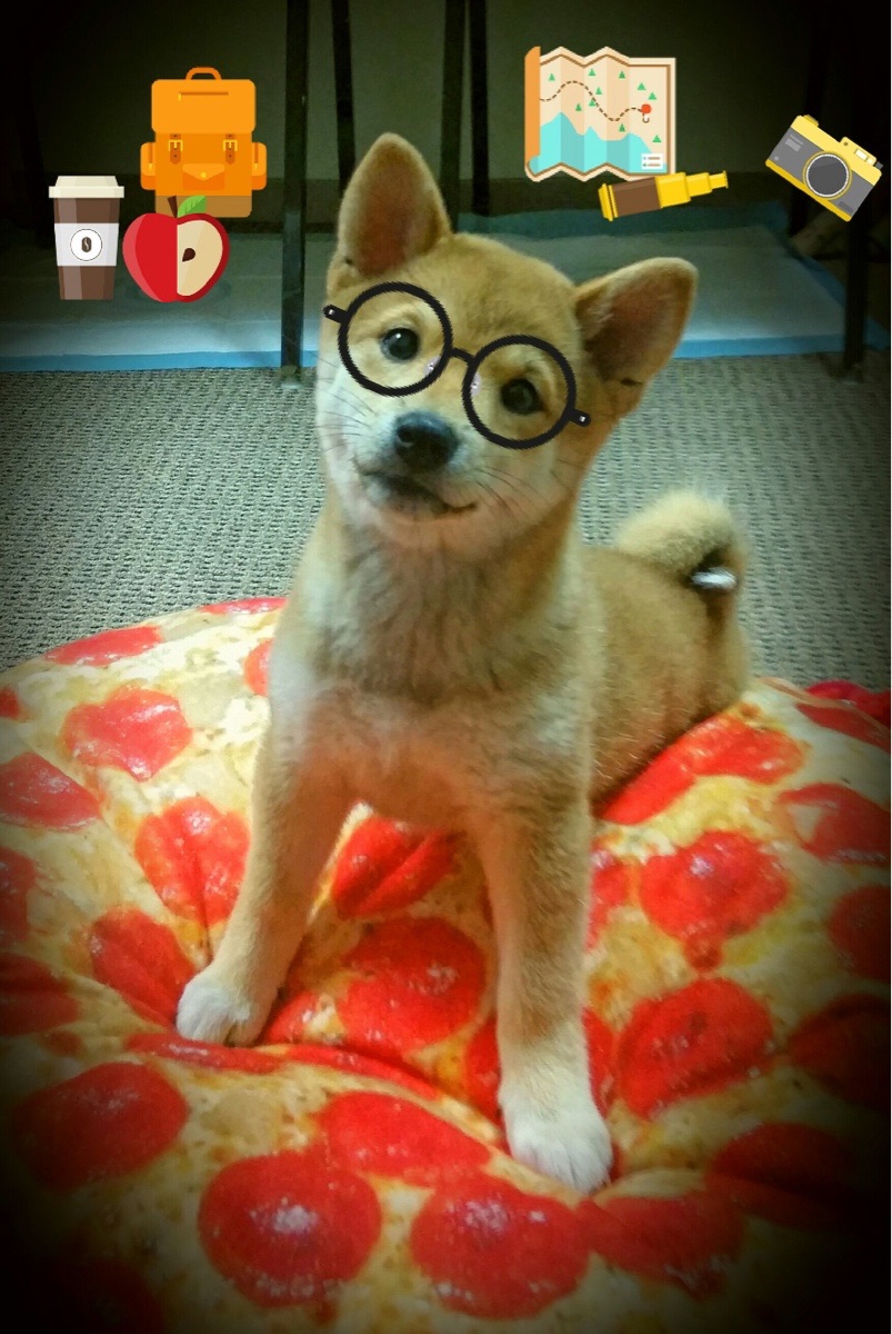 爱游戏电竞官网-赛场外的温馨：球迷与球员的感人互动故事，球迷感言