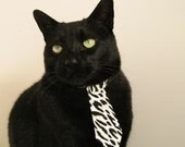 阿根廷马术代表队在巴黎奥运会团体障碍赛中获得铜牌,展现团队协作精神。