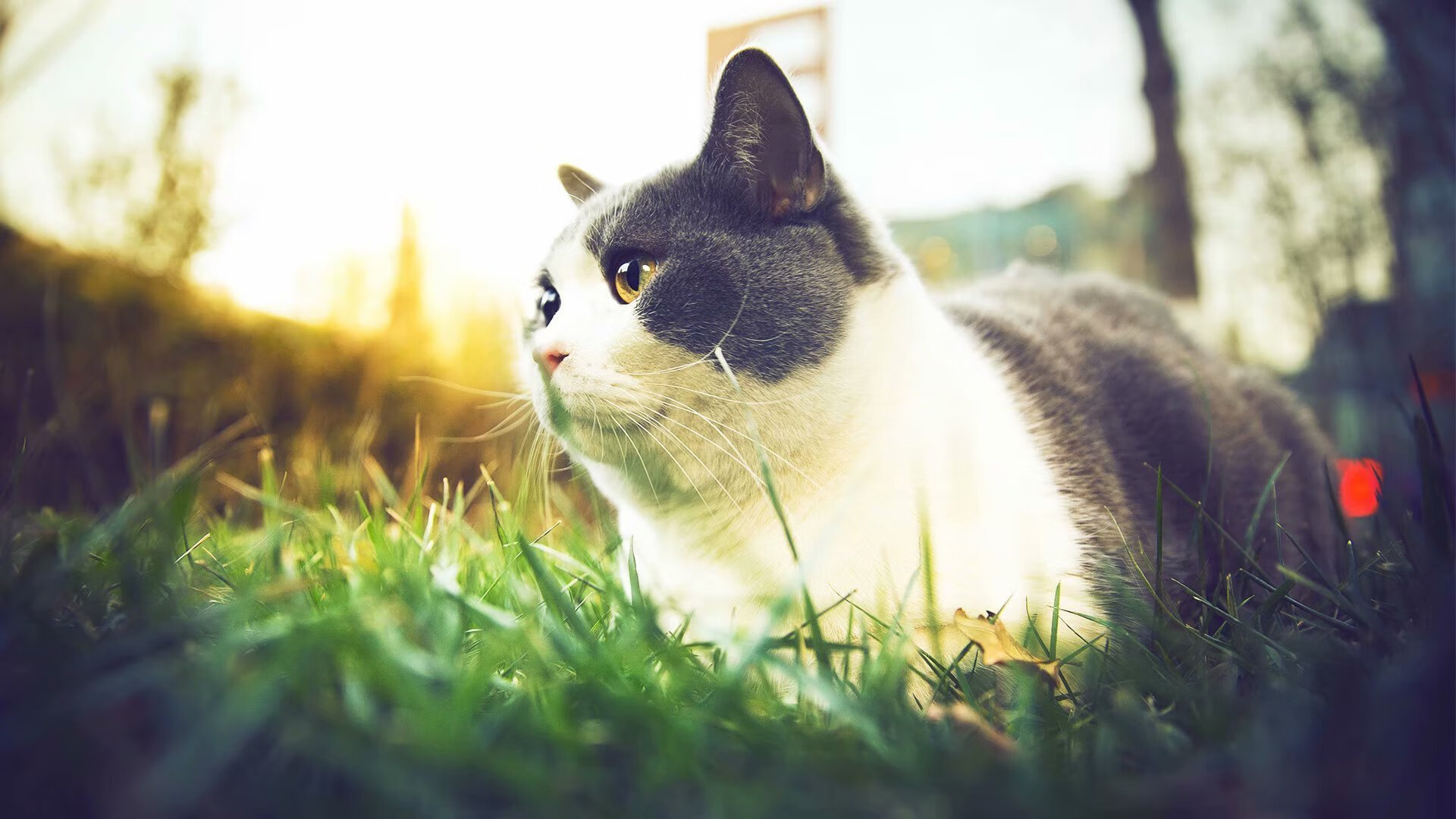 爱游戏体育（AYX）官方APP下载-铺陈史诗般的战斗：本年度台球盛事回顾，经典台球比赛视频