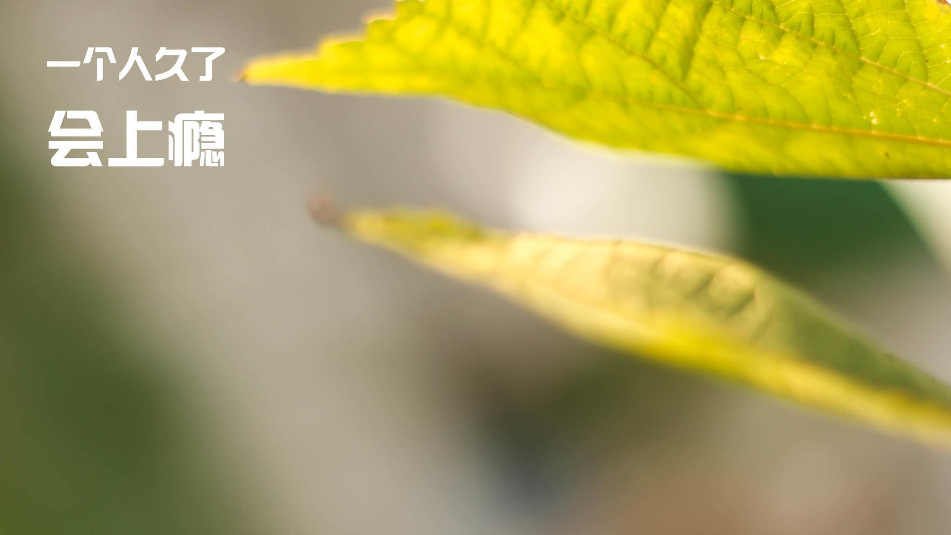 爱游戏在线登录入口-意外射击预赛器材突发状况