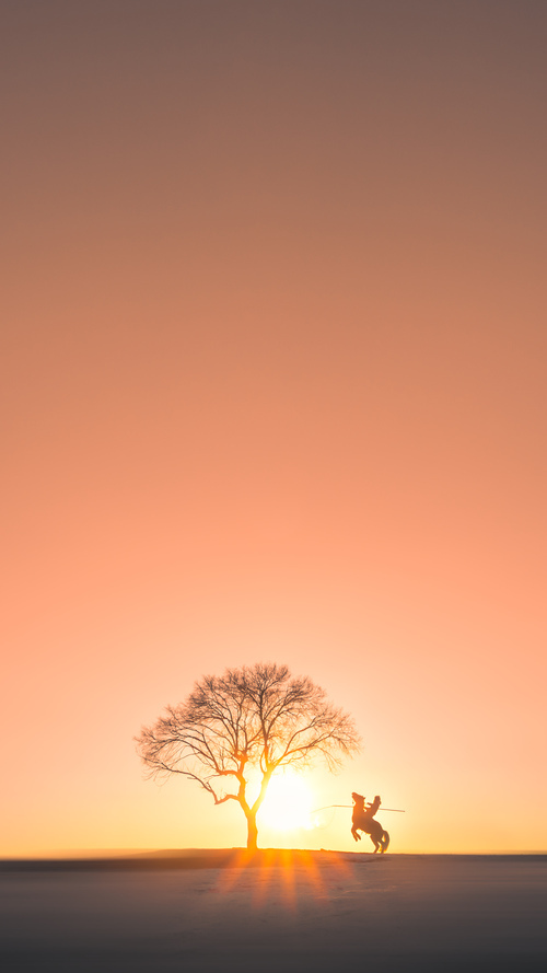 灰熊队轻松击败对手,取得常规赛胜利,灰熊队2021