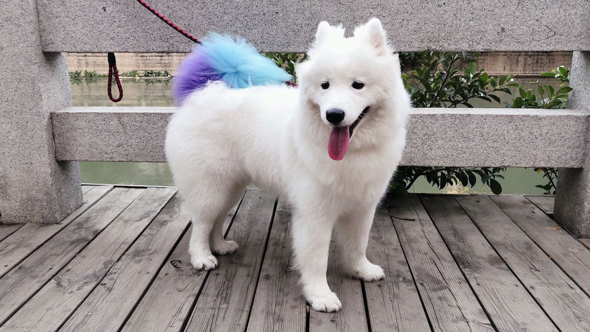 爱游戏app-阿尔及利亚球队晋级非洲杯，锋线火力强劲，阿尔及利亚 非洲杯