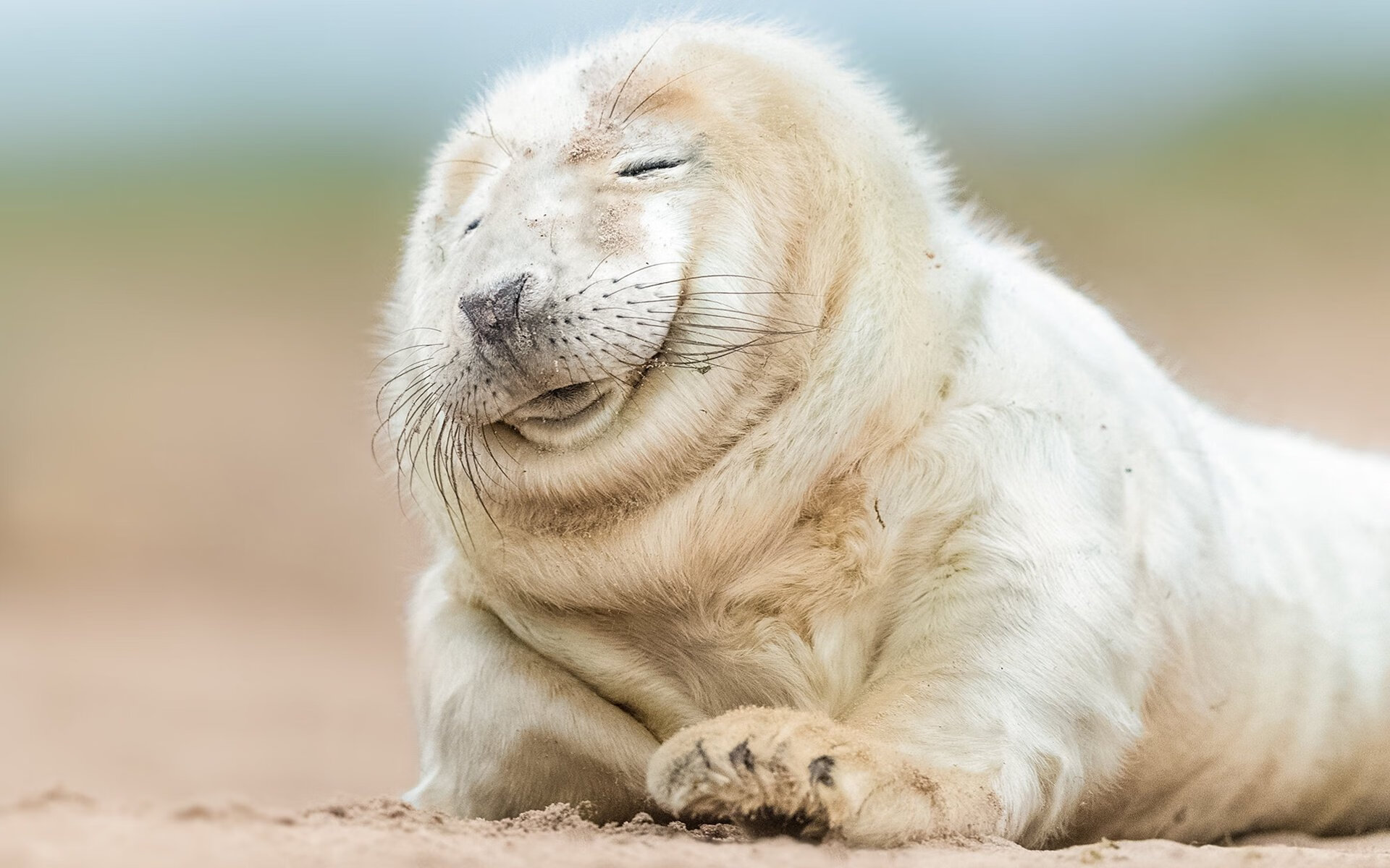 NBA联盟赛季数据智能分析平台开发,nba联盟数据排名