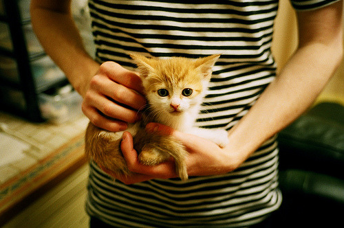 NBA运动员营养补给及恢复策略探讨,nba运动员饮食食谱