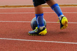 爱游戏登录入口-中国青少年篮球运动员体能素质发展规律，我国篮球青少年运动发展现状