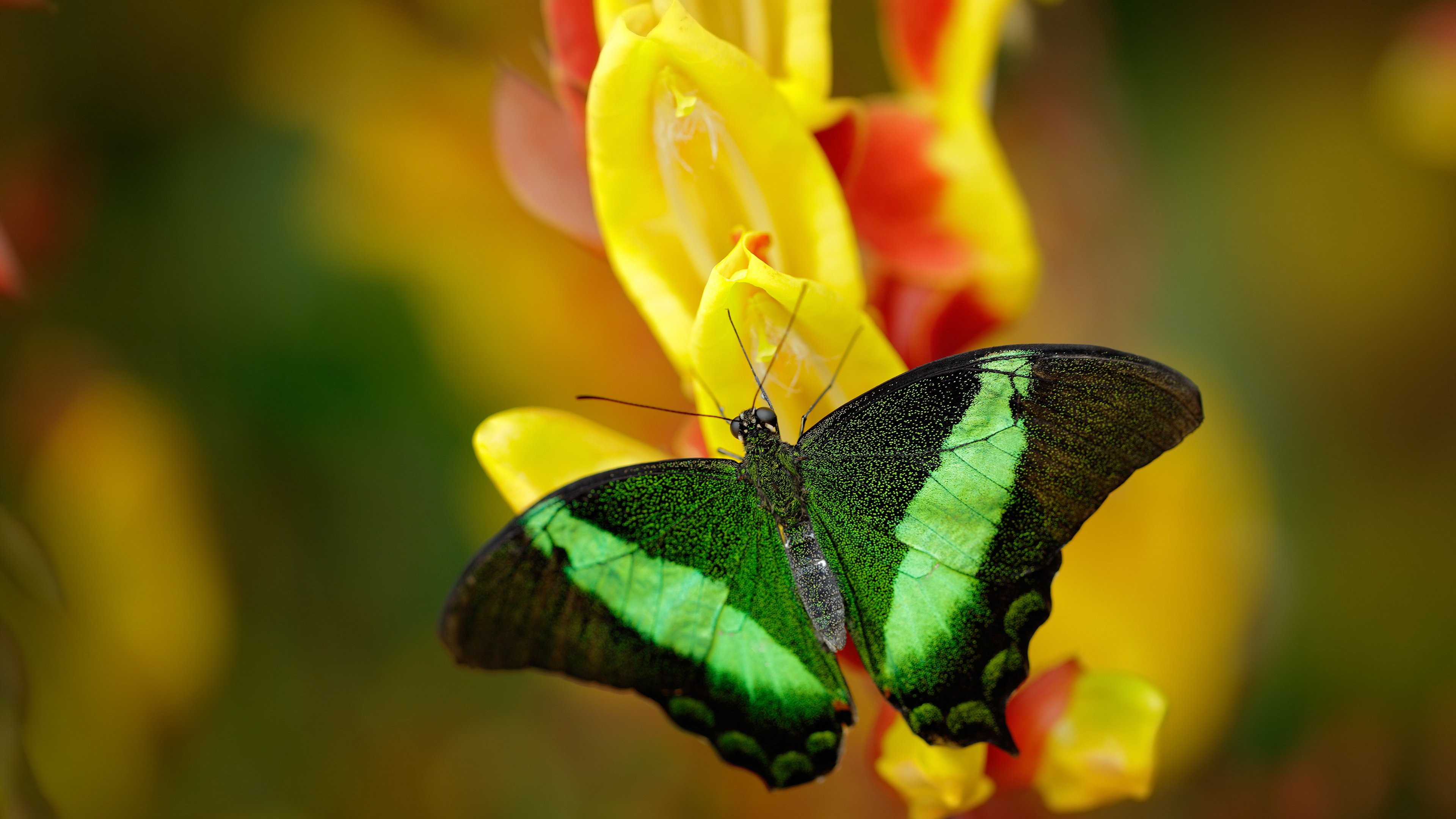 爱游戏娱乐-大型体育场馆资源对接与公益服务机制建设，大型体育场馆服务品质提升
