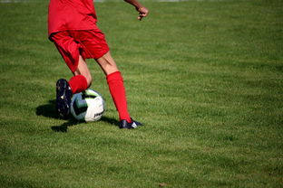 爱游戏体育app-篮球运动员训练负荷智能监控系统研发及应用，基础阶段篮球训练负荷安排