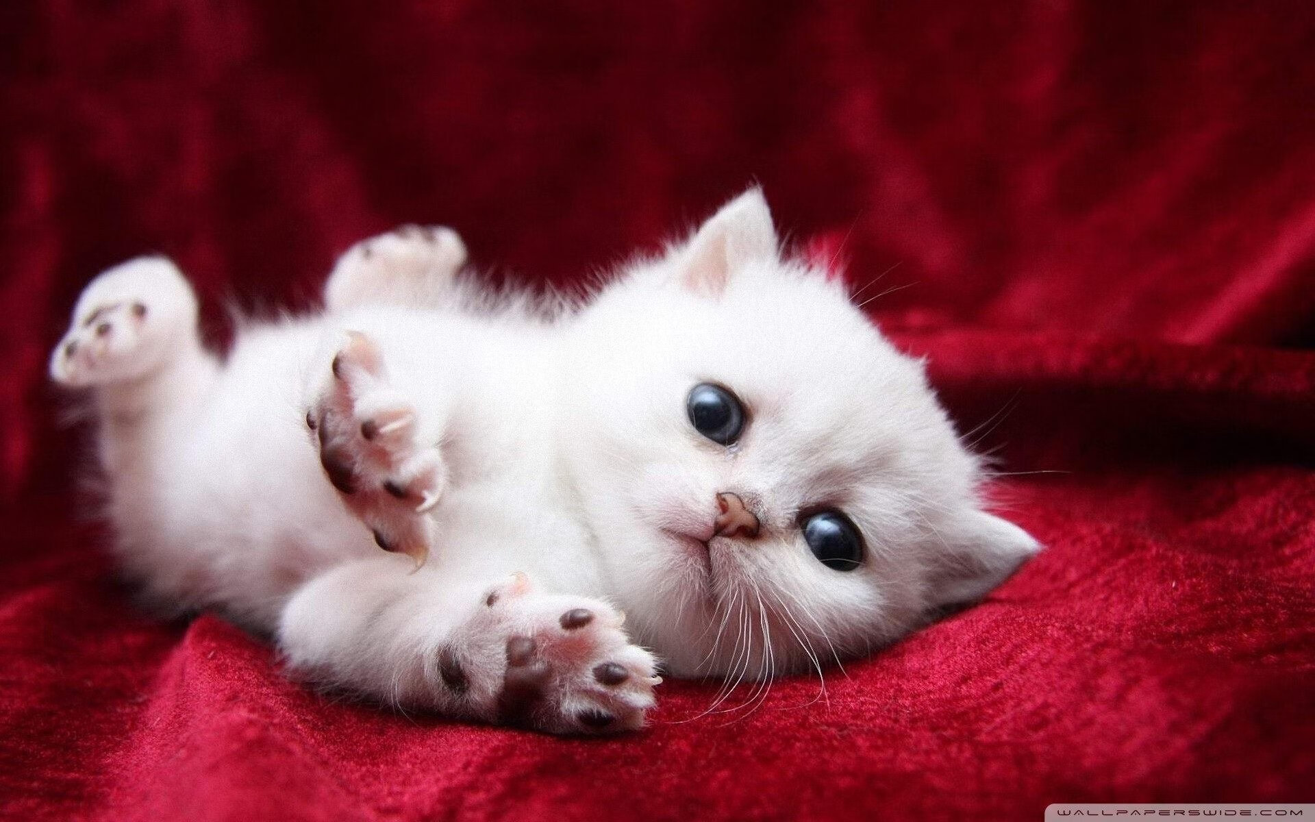 -中国男篮重视热身赛战术演练价值，中国男篮热火