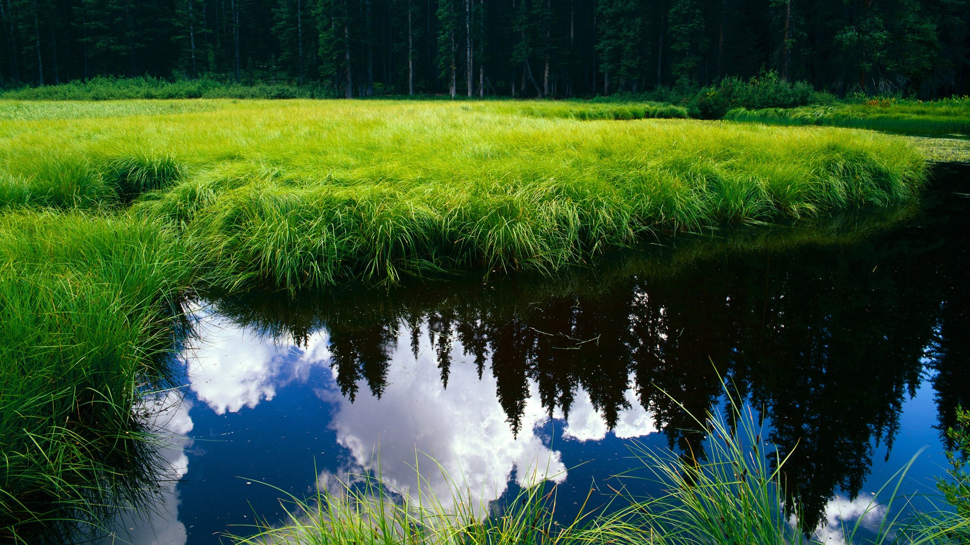 体育医疗研究合作进入国际平台，体育医疗研究合作进入国际平台的条件