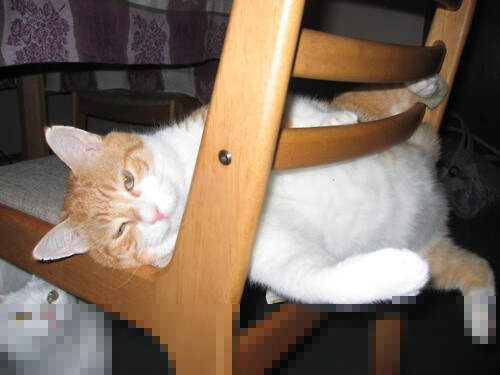 爱游戏娱乐网址-罗马快速推进提升破门效率，罗马技巧