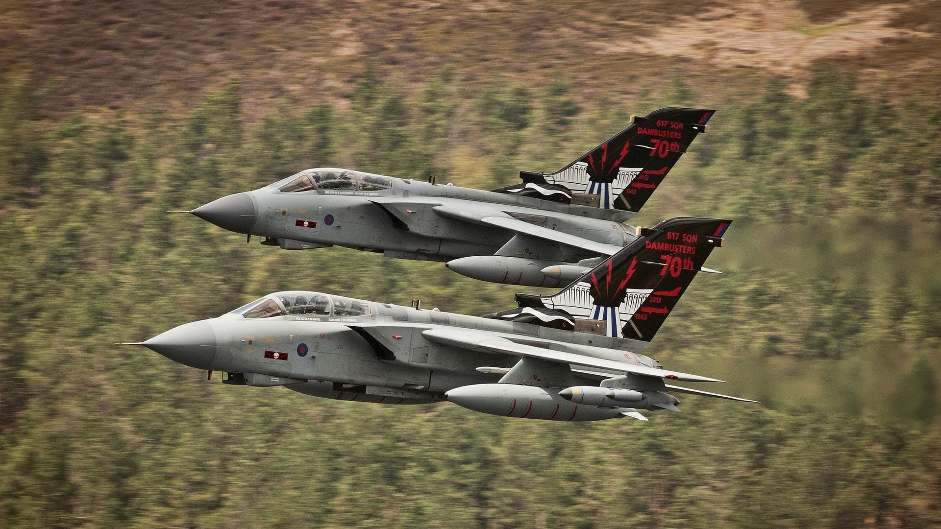 数字化选拔体系实现青少年足球人才快速发现与培养，数字化足球场