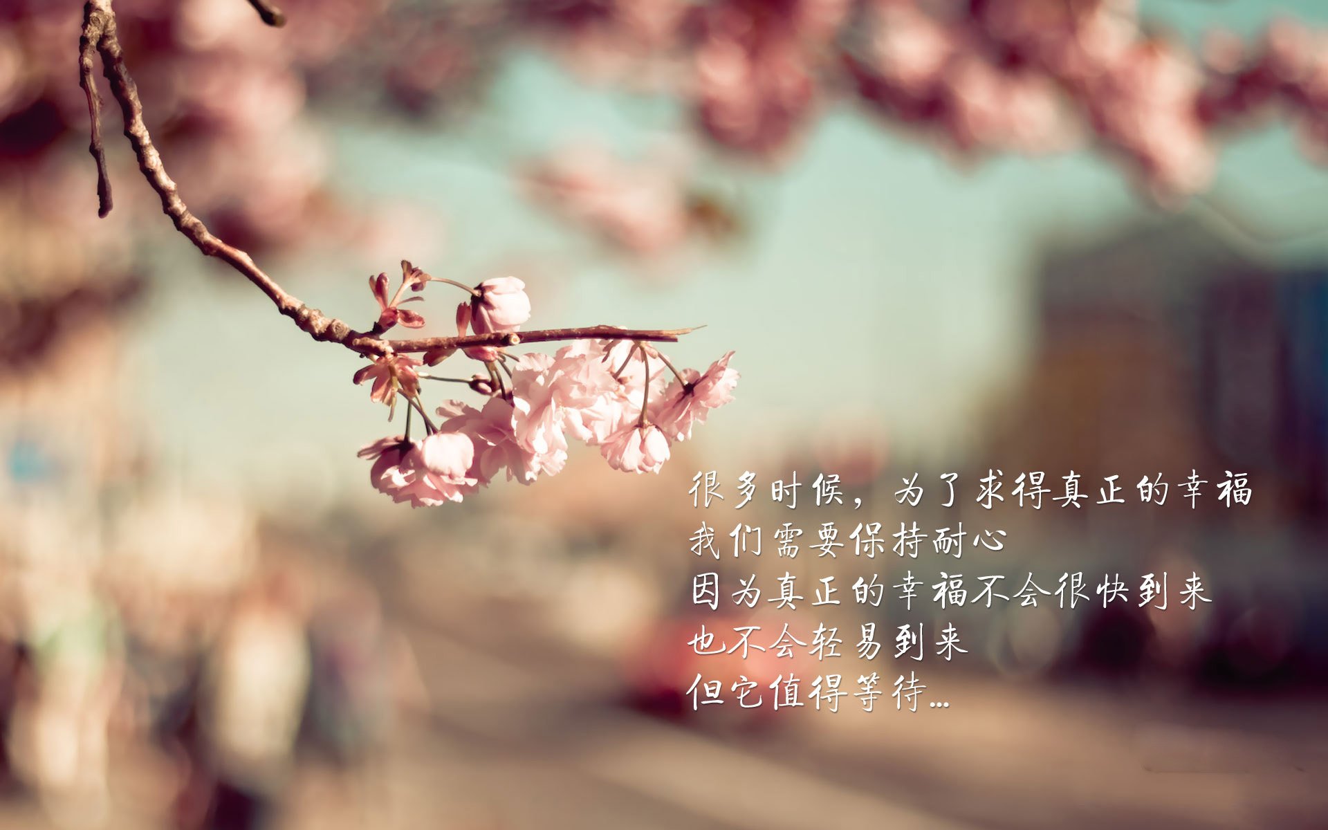 篮球青训选拔赛吸引各地优秀小将参加,篮球青训队是什么意思