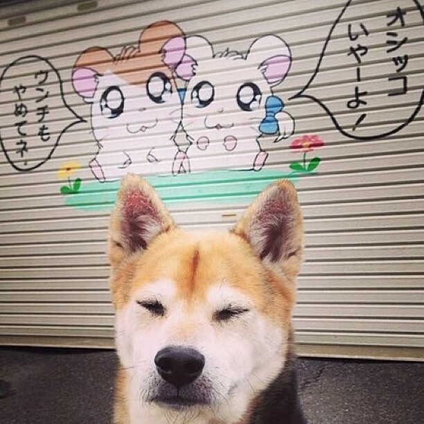 爱游戏综合娱乐-跳水配合出色突尼斯顺利晋级，圣女果可以烧菜吃吗